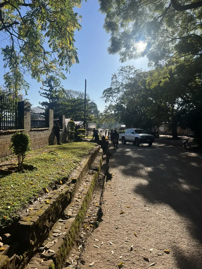 A shaded road through the Malamulo campus