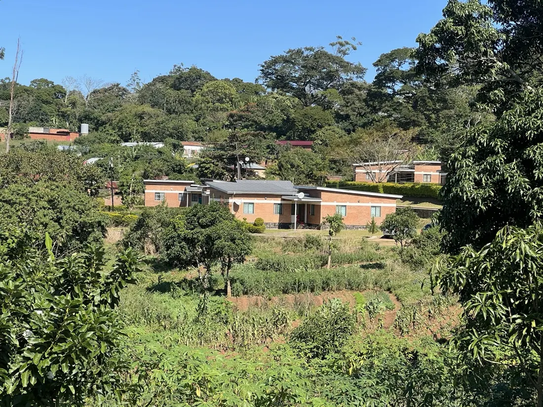 Campus buildings among vegetation and gardens