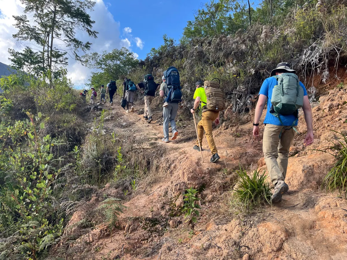 Walkers on a wooded trail on Mount Mulanje